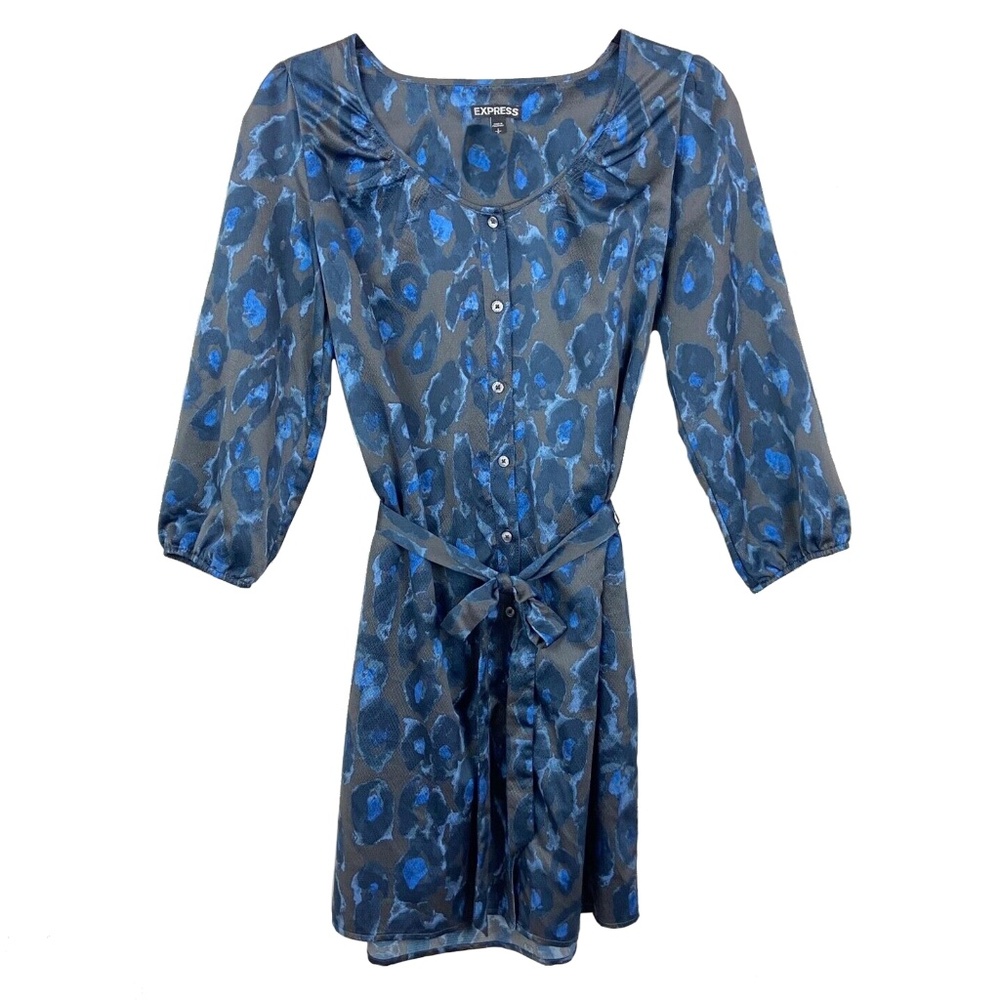 Express Button Down Shirt Dress